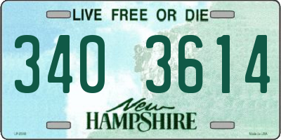 NH license plate 3403614
