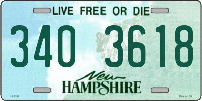 NH license plate 3403618