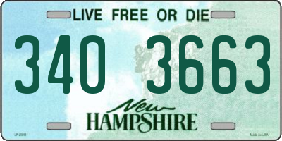 NH license plate 3403663