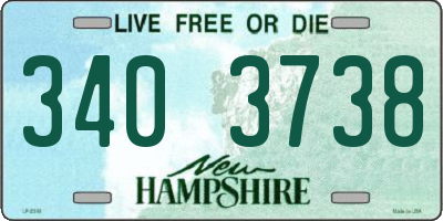 NH license plate 3403738