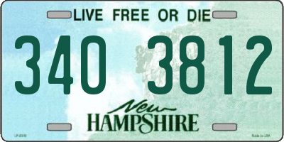 NH license plate 3403812