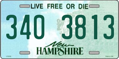 NH license plate 3403813