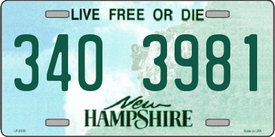 NH license plate 3403981