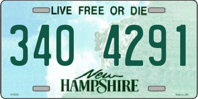 NH license plate 3404291