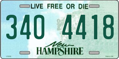 NH license plate 3404418