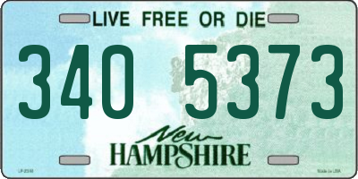 NH license plate 3405373