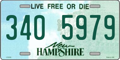 NH license plate 3405979