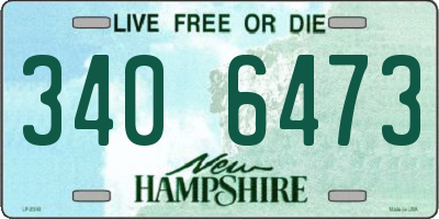 NH license plate 3406473