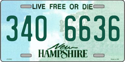 NH license plate 3406636