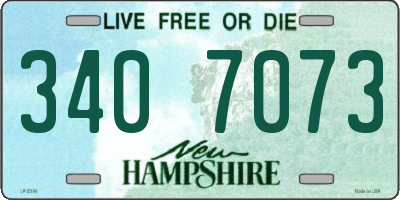 NH license plate 3407073