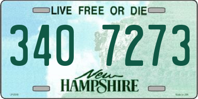 NH license plate 3407273
