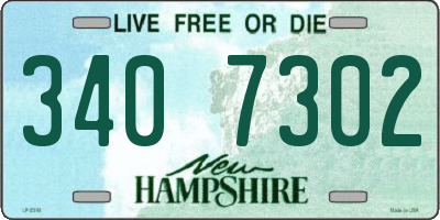 NH license plate 3407302