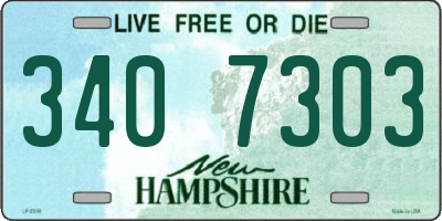 NH license plate 3407303