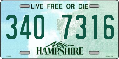 NH license plate 3407316
