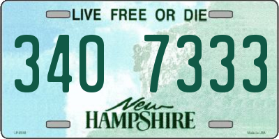 NH license plate 3407333