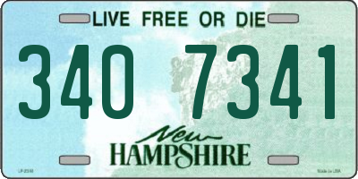 NH license plate 3407341