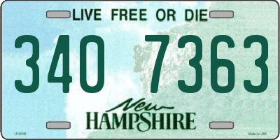 NH license plate 3407363