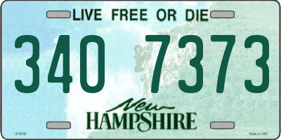NH license plate 3407373