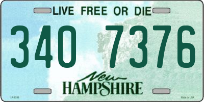 NH license plate 3407376