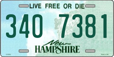 NH license plate 3407381
