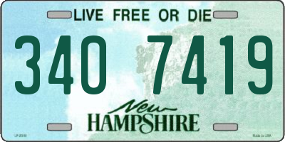 NH license plate 3407419