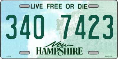 NH license plate 3407423