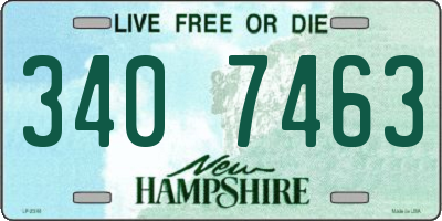 NH license plate 3407463