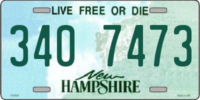 NH license plate 3407473