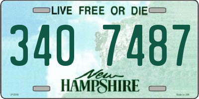 NH license plate 3407487