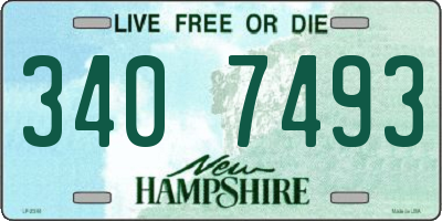 NH license plate 3407493