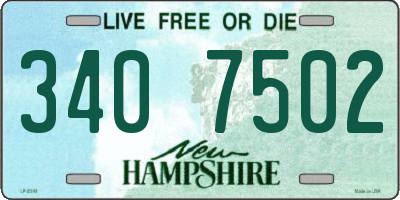NH license plate 3407502