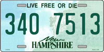 NH license plate 3407513