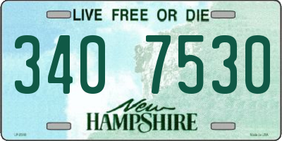 NH license plate 3407530