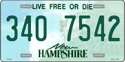 NH license plate 3407542