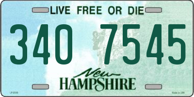 NH license plate 3407545