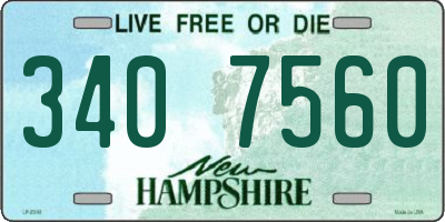 NH license plate 3407560