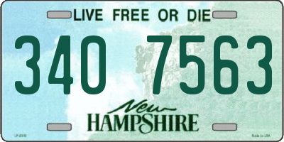 NH license plate 3407563