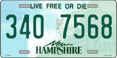 NH license plate 3407568