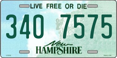 NH license plate 3407575