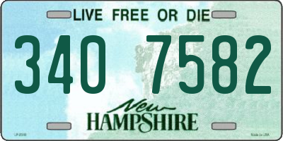 NH license plate 3407582