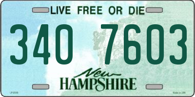 NH license plate 3407603