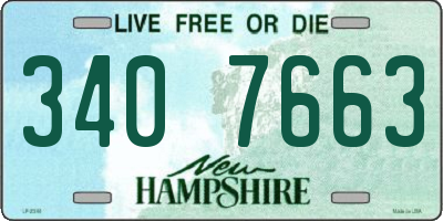 NH license plate 3407663