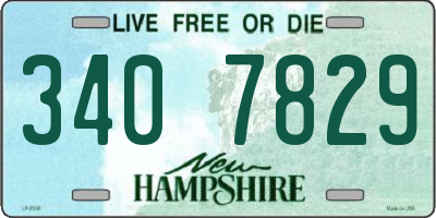 NH license plate 3407829