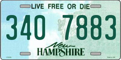 NH license plate 3407883