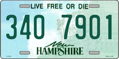 NH license plate 3407901
