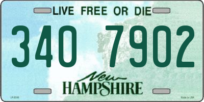 NH license plate 3407902