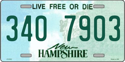 NH license plate 3407903