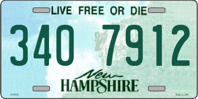 NH license plate 3407912