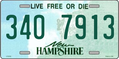 NH license plate 3407913