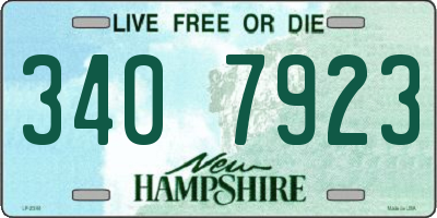 NH license plate 3407923